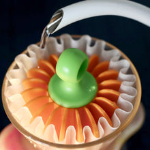 Load image into Gallery viewer, Sydney Fragment coffee roasters specialty coffee best roaster in Australia boutique micro coffee roaster filter coffee brewing Nuno Park