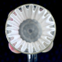 Load image into Gallery viewer, Sydney Fragment coffee roasters specialty coffee best roaster in Australia boutique micro coffee roaster filter coffee brewing Nuno Park