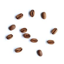 Load image into Gallery viewer, Janson Estate Panama Geisha coffee fully washed coffee natural coffee Sydney best coffee roasters Fragment coffee roasters Nuno Park