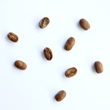 Load image into Gallery viewer, Finca Lerida Panama Geisha coffee fully washed coffee Filter coffee Sydney best coffee roasters Fragment coffee roasters Nuno Park Australian specialty coffee Australian coffee roasters