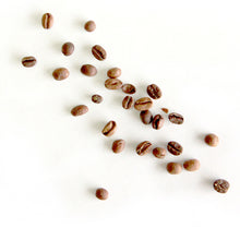 Load image into Gallery viewer, Sydney best coffee roasters Fragment coffee roasters specialty coffee near me australian coffee