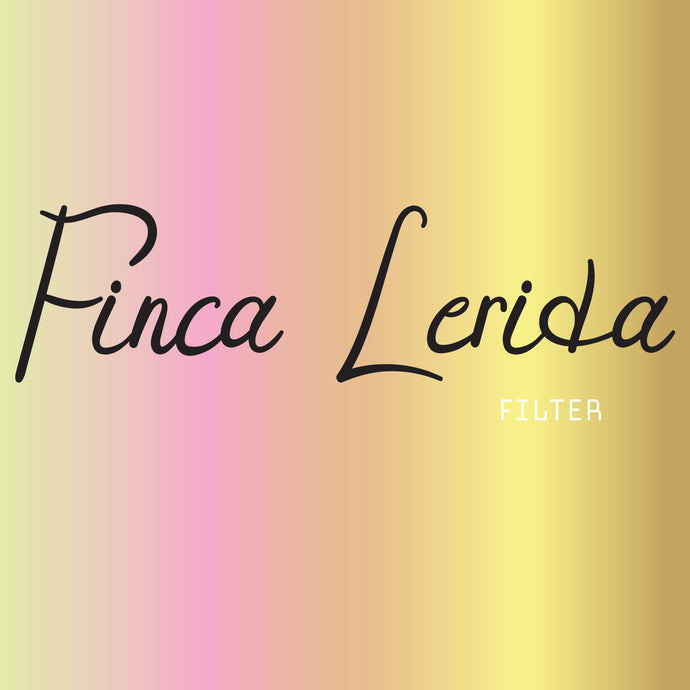 Finca Lerida Panama Geisha coffee fully washed coffee Filter coffee Sydney best coffee roasters Fragment coffee roasters Nuno Park Australian specialty coffee Australian coffee roasters