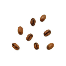 Load image into Gallery viewer, Lost Origin Altieri Panama Geisha coffee natural coffee Filter coffee Sydney best coffee roasters Fragment coffee roasters Nuno Park Australian specialty coffee Australian coffee roasters
