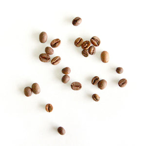 Sydney best coffee roasters Fragment coffee roasters specialty coffee near me australian coffee