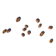 Load image into Gallery viewer, Sydney best coffee roasters Fragment coffee roasters specialty coffee near me australian coffee
