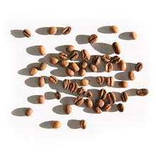Load image into Gallery viewer, Sydney best coffee roasters Fragment coffee roasters specialty coffee near me australian coffee
