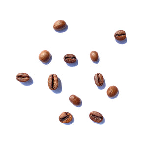 Sydney best coffee roasters Fragment coffee roasters specialty coffee near me australian coffee