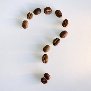 Fragment Coffee Roasters Sydney the best coffee roasters premium coffee Australian specialty coffee Fragment mysterious coffee release exclusive boutique coffee Nuno Park Eunchan Park Australian cuptasters champion