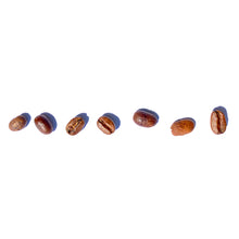 Load image into Gallery viewer, Sydney best coffee roasters Fragment coffee roasters specialty coffee near me australian coffee
