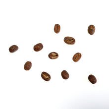 Load image into Gallery viewer, Harry Go Herry Ko 고현석 호주 챔피언 호주 브루어즈컵 winning coffee Australian Brewers Cup Champion competiton coffee El Diviso Sidra anaerobic natural Colombia Sydney best coffee roasters Fragment coffee roasters
