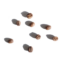 Load image into Gallery viewer, Sydney Brazil coffee triple honey process Australia specialty coffee Fragment coffee roasters 
