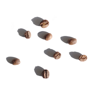 Sydney Brazil coffee triple honey process Australia specialty coffee Fragment coffee roasters 