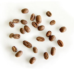 Sydney best coffee roasters Fragment coffee roasters specialty coffee near me australian coffeespecialty coffee near me australian coffee